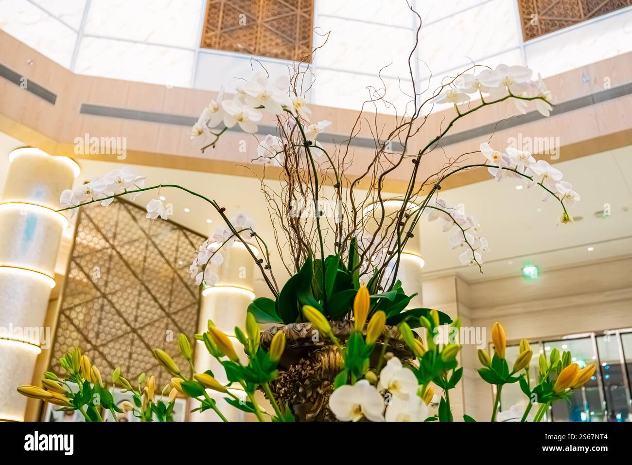 Orchideenblüten-Arrangement. Hochwertige Fotos Stockfoto