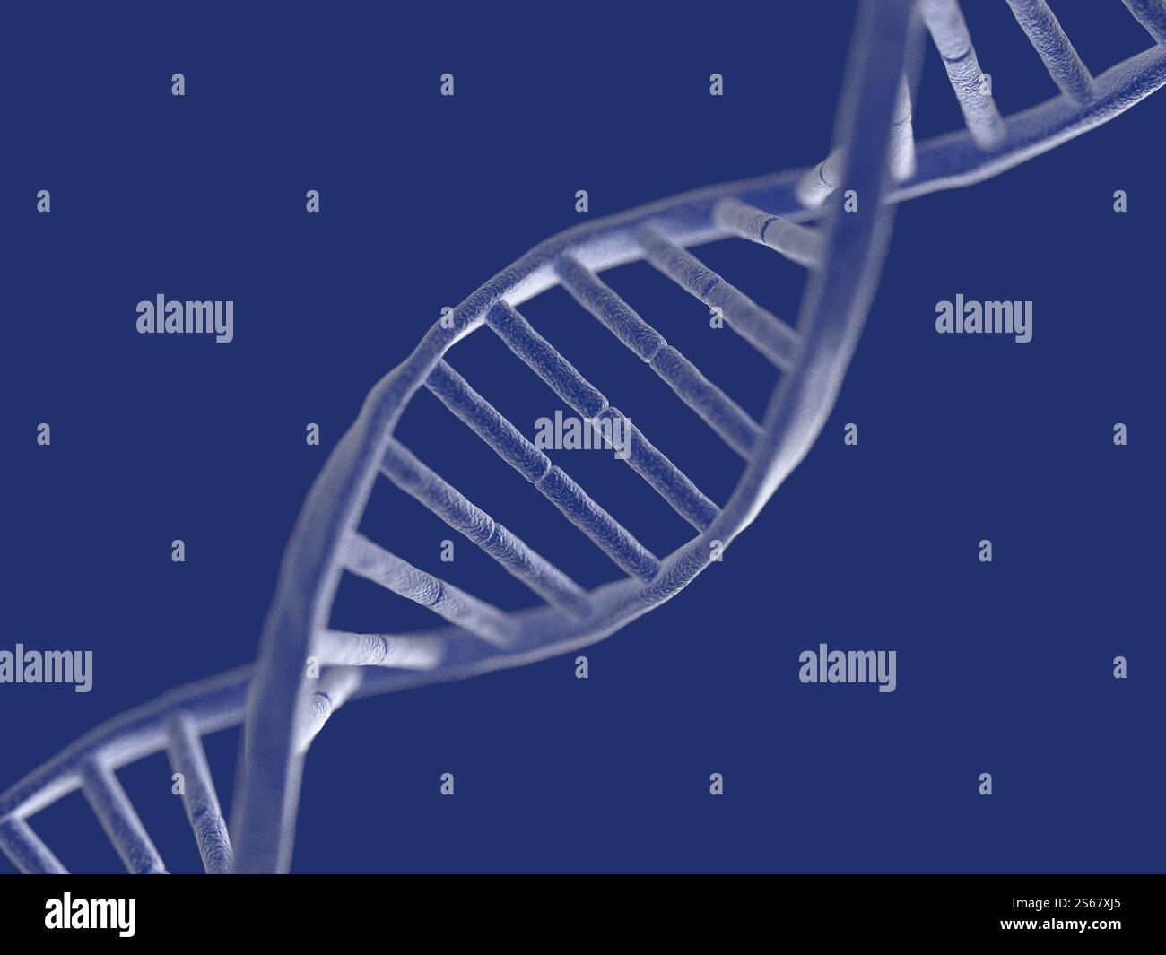 Nukleinsäure. DNA. Doppelspirale. Isoliert. Strang. 3D-Abbildung. Stockfoto