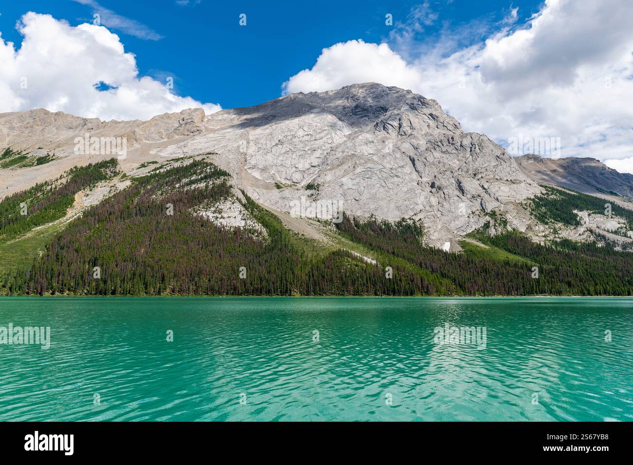 Kanadische Rockies Reflection am Maligne Lake, Jasper Nationalpark, Kanada. Stockfoto