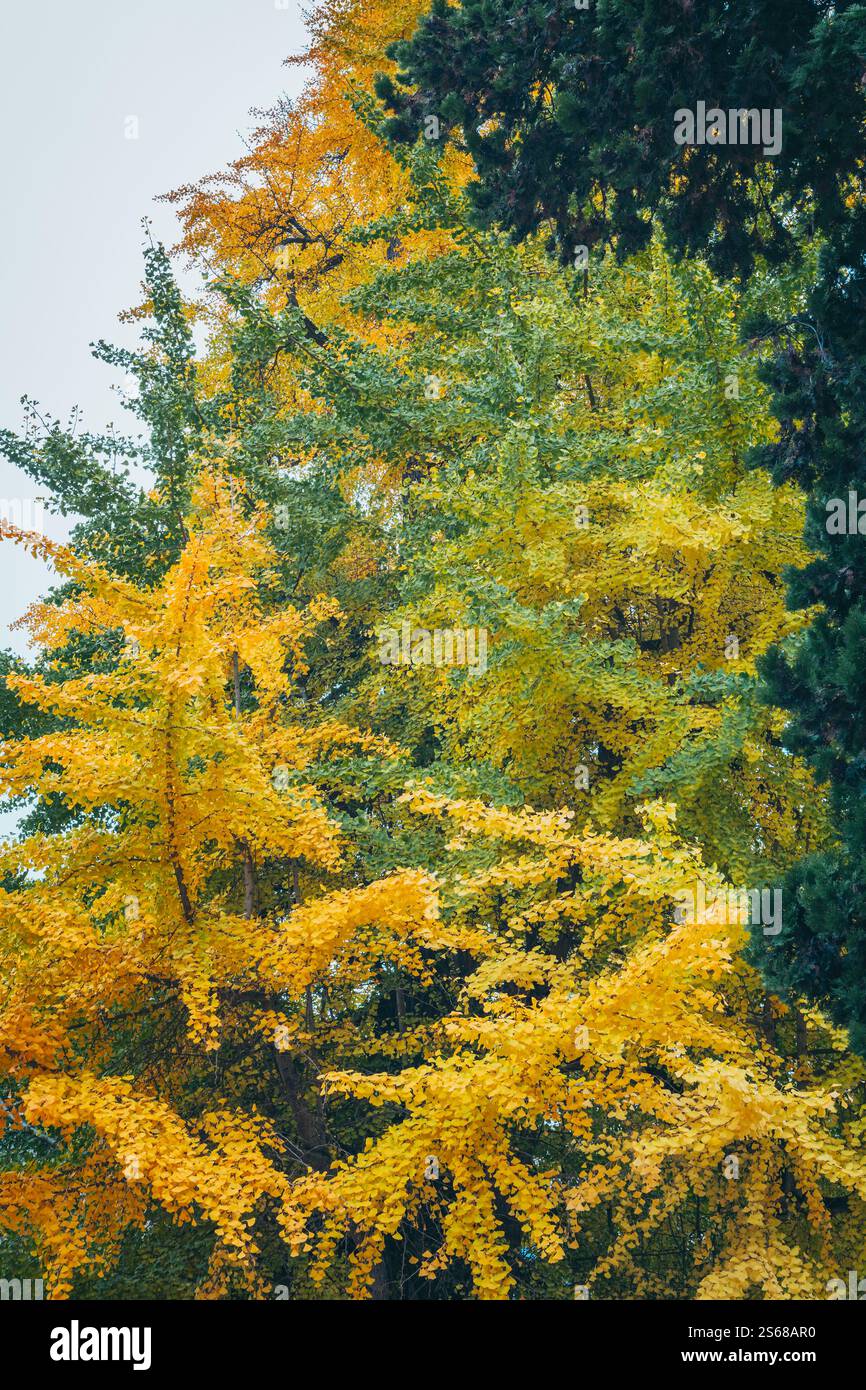 Parc Monceau, Paris, Frankreich Stockfoto