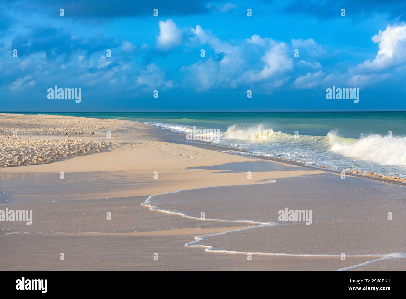 Eagle Beach auf Aruba bietet weichen Sand und sanfte Wellen unter hellem Himmel. Besucher können ruhige Momente genießen, während sie die tropische Atmosphäre genießen Stockfoto