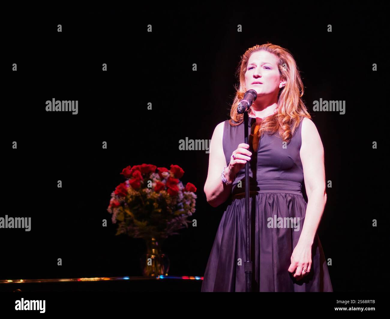 New Orleans, LA, USA - 28. März 2015: Saturday Night Live-Alumnus Ana Gasteyer tritt im New Orleans Center for Creative Arts (NOCCA) Benefit auf Stockfoto
