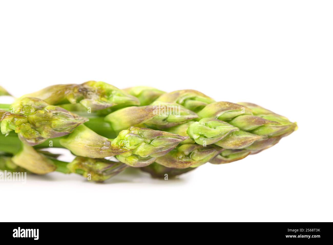 Nahaufnahme von oberem Spargel isoliert auf weißem Hintergrund Stockfoto