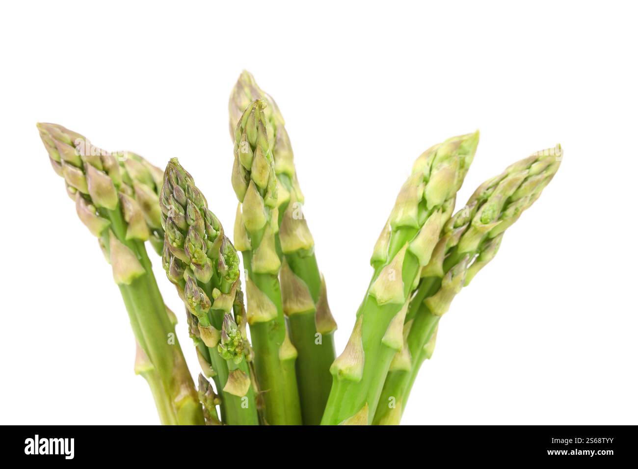 Nahaufnahme der obersten Spargel, isoliert auf weißem Hintergrund Stockfoto