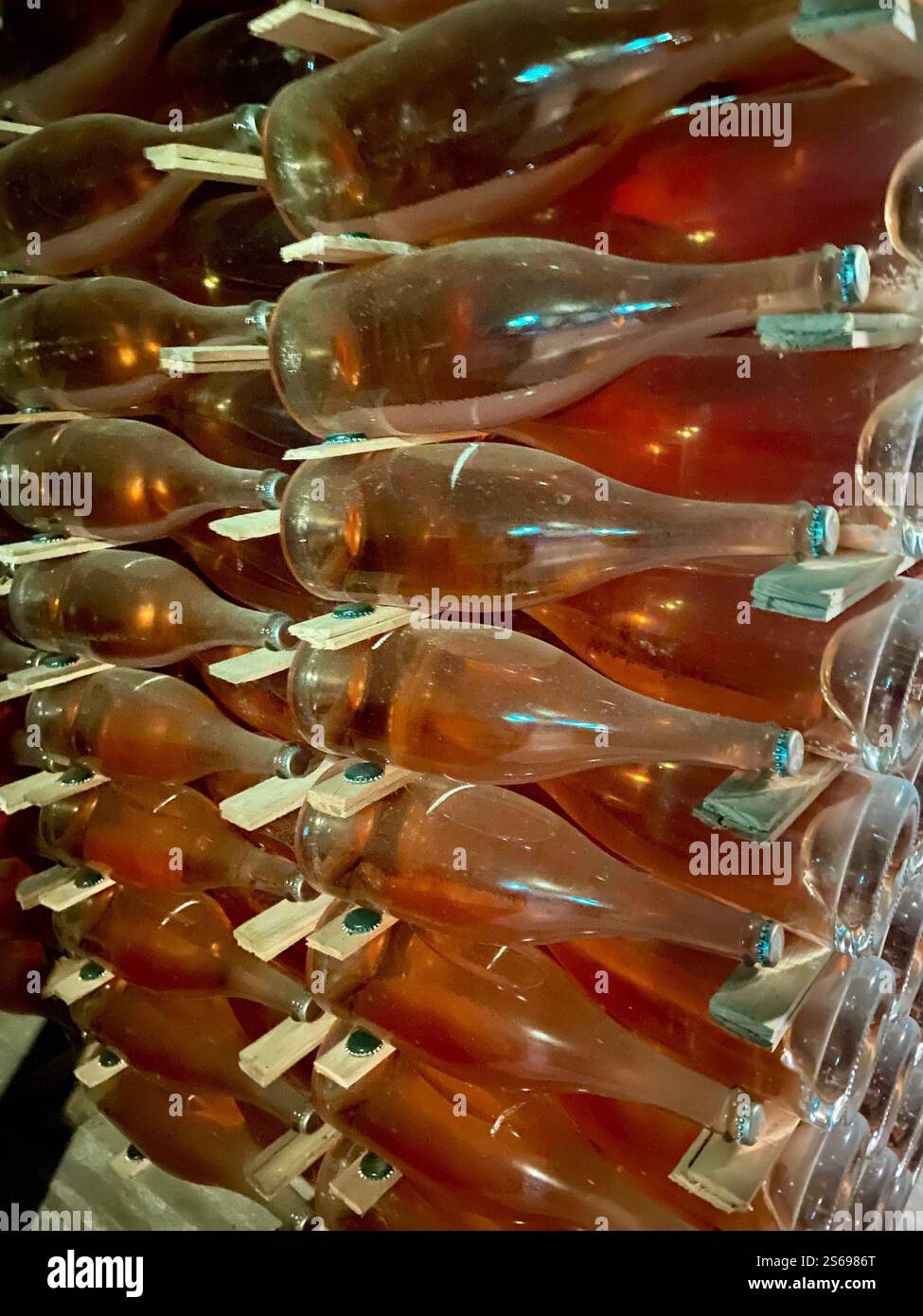 Wand aus Wein in einer Weinhöhle - Smartphone-aufgenommenes Stockfoto