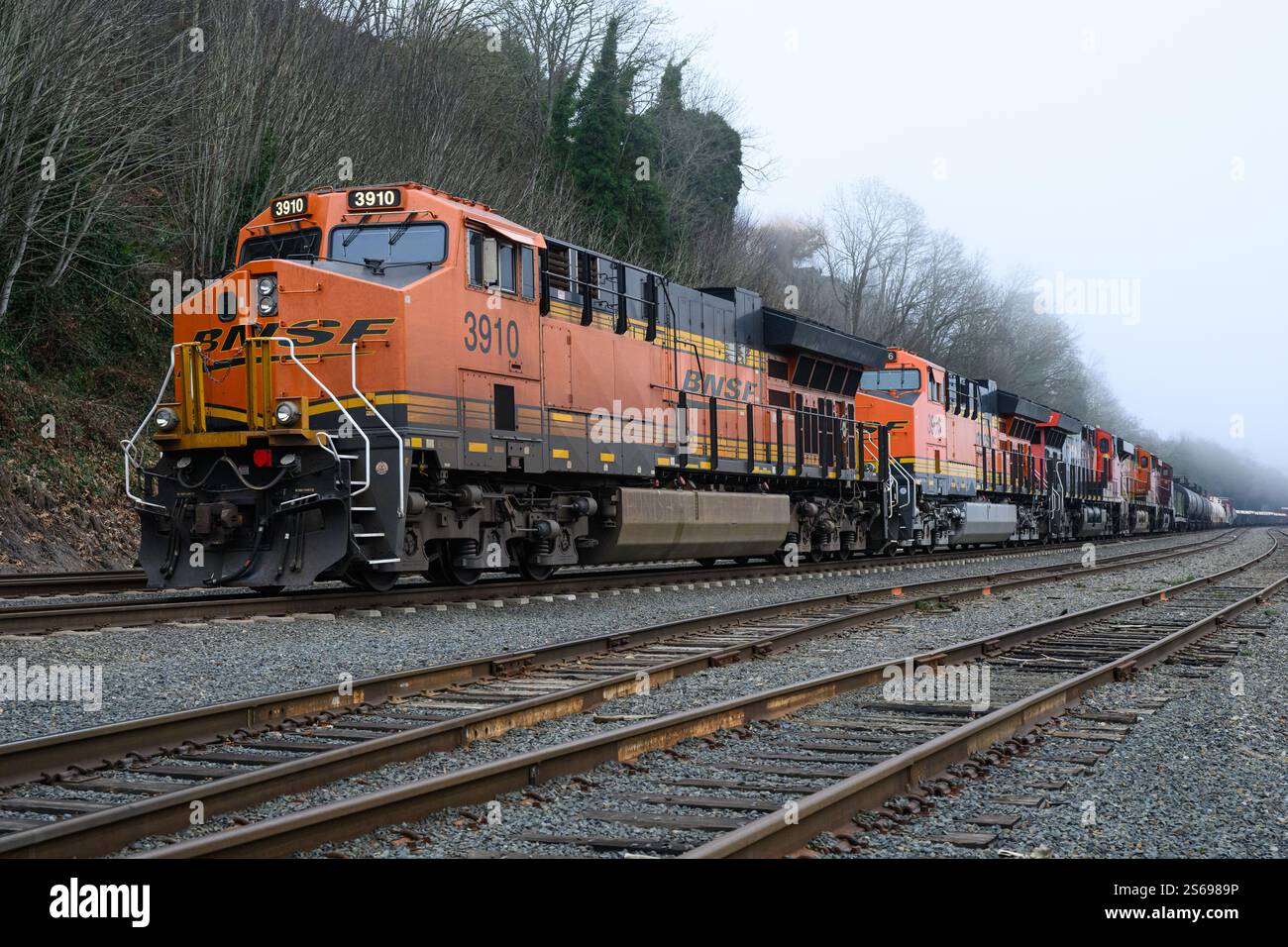 Everett, WA, USA - 15. Januar 2025; BNSF-Güterzug mit mehreren Motoren an nebeligen Tagen Stockfoto