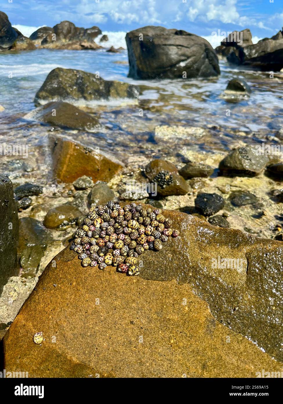 Wellen brechen und Muschelhaufen - Smartphone-aufgenommenes Stockfoto