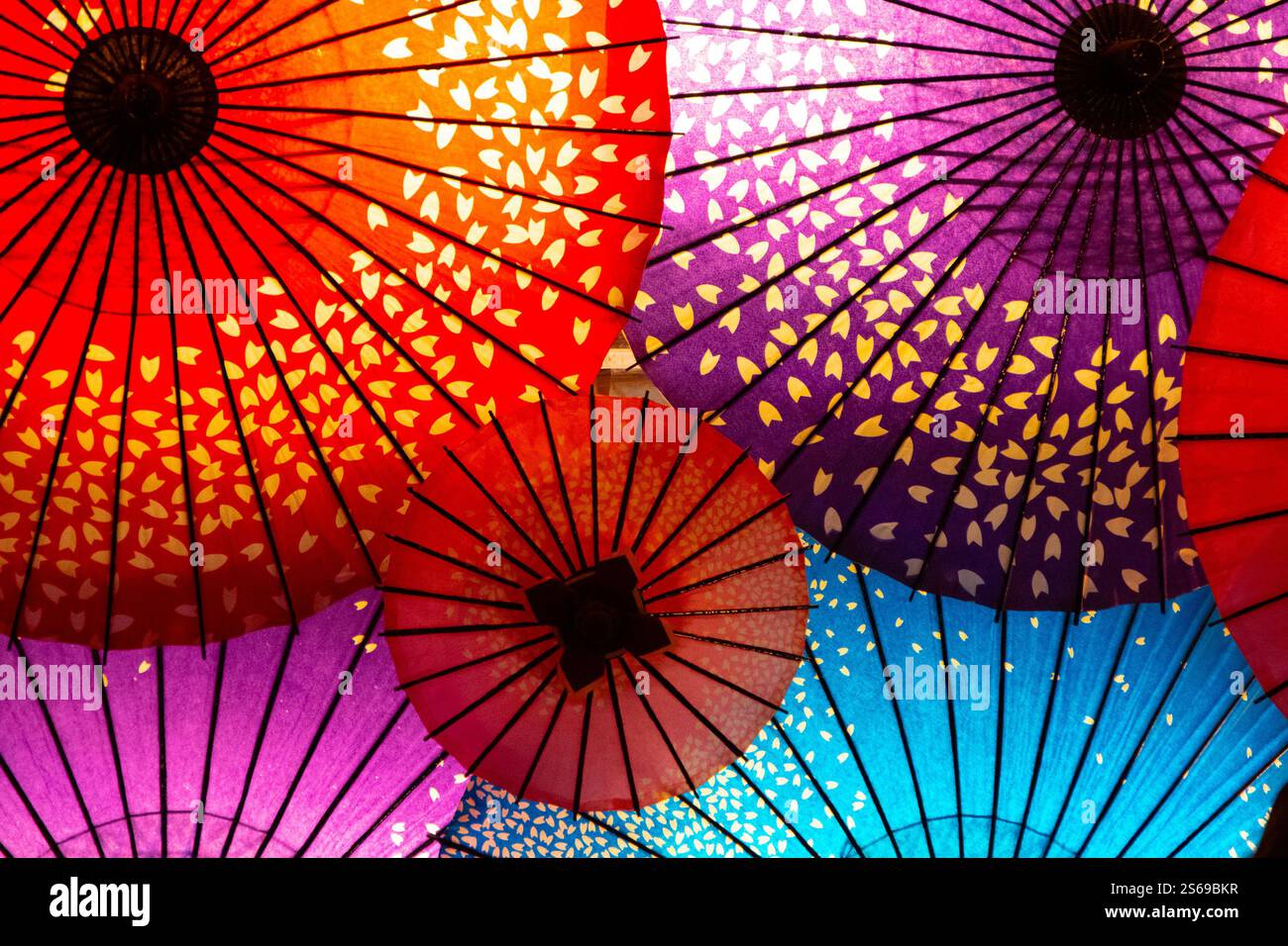 Buntes Papierschirm-Set mit diffusem Licht Stockfoto
