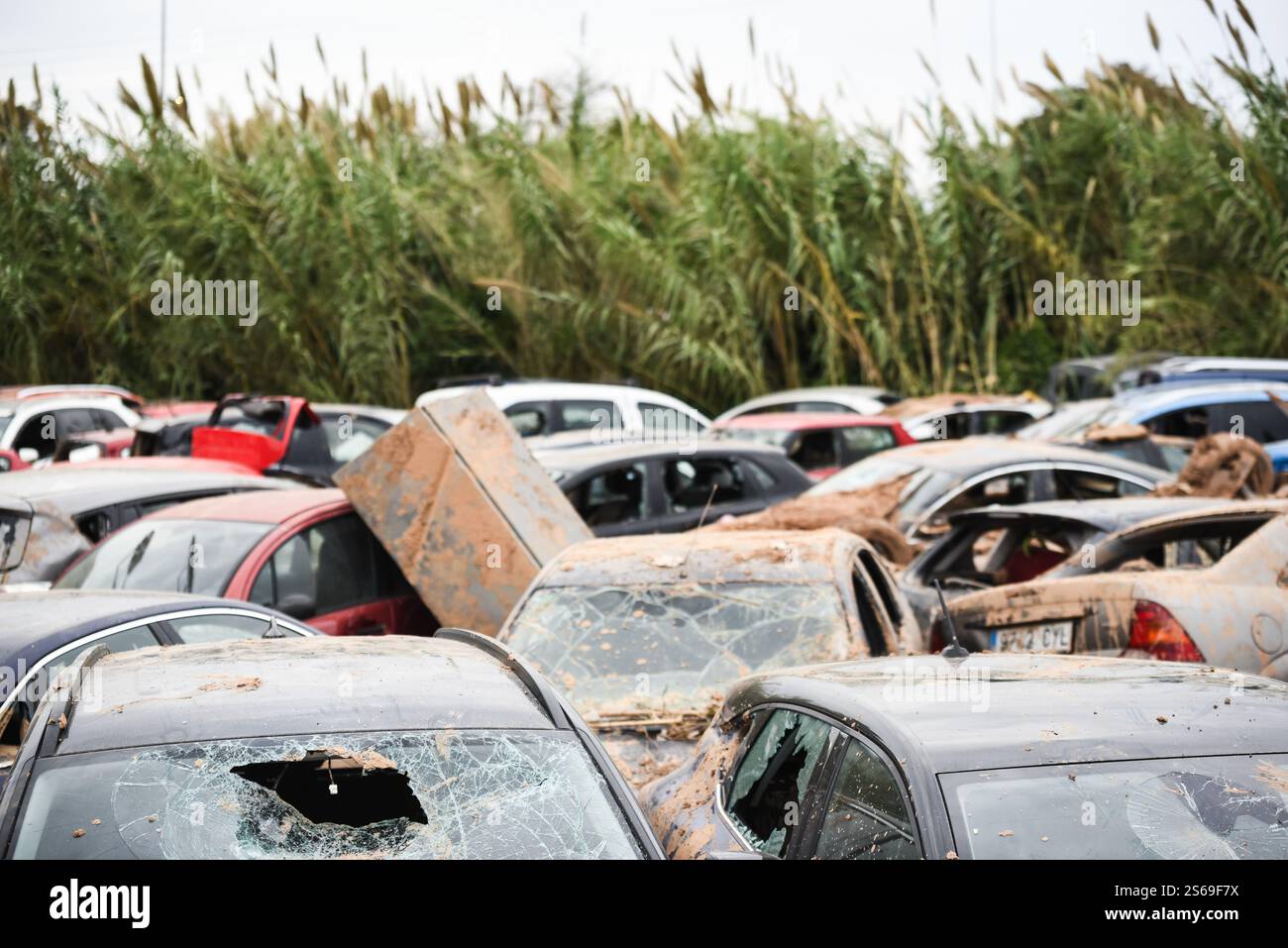 Zerstörte Autos, die nach den DANA-Überschwemmungen auf einem Feld gelagert wurden. Catarroja, Span. Stockfoto