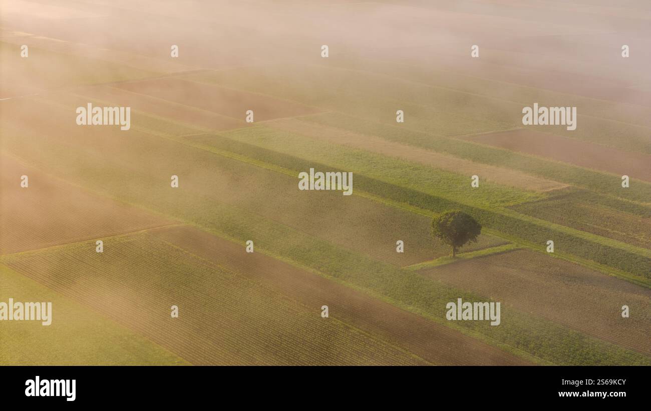 Atemberaubender Nebel Sonnenaufgang über farbenfrohem Ackerland und Landschaft Stockfoto