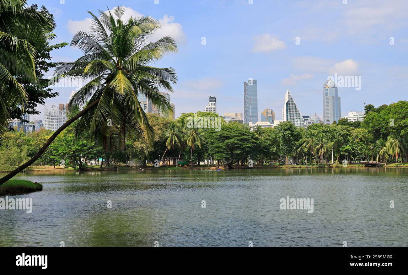 Lumphini Park mit Wolkenkratzern im Hintergrund in Bangkok, Thailand Stockfoto