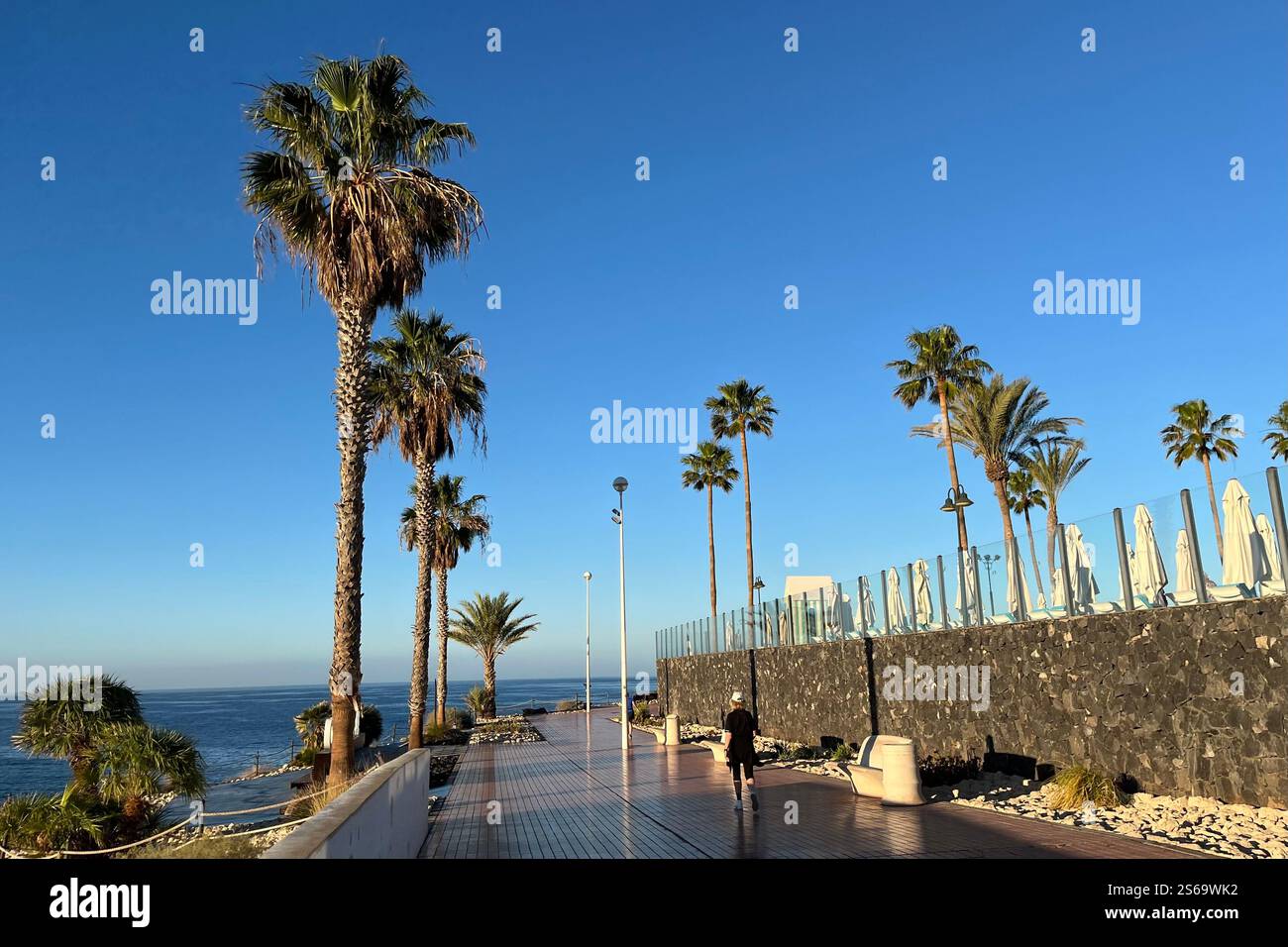 Abschnitt der von Palmen gesäumten Promenade an der Küste der Costa Adeje bei Playa de Fanabe. Teneriffa, Kanarische Inseln, Spanien. Januar 2025. Stockfoto