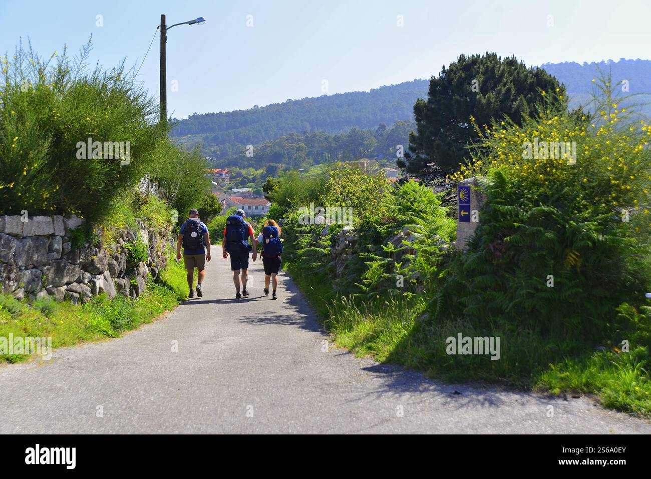 Drei Personen pilgern nach Santiago de Compostela auf dem portugiesischen Weg Stockfoto