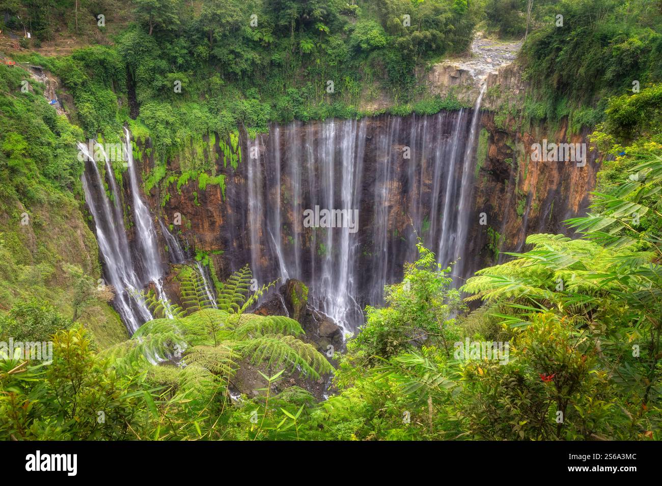 Ein atemberaubender Tumpak Sewu Wasserfall stürzt dramatisch hinunter hoch aufragende Klippen, umgeben von lebendigem Grün und farbenfroher Flora, die den Atem in Szene setzt Stockfoto
