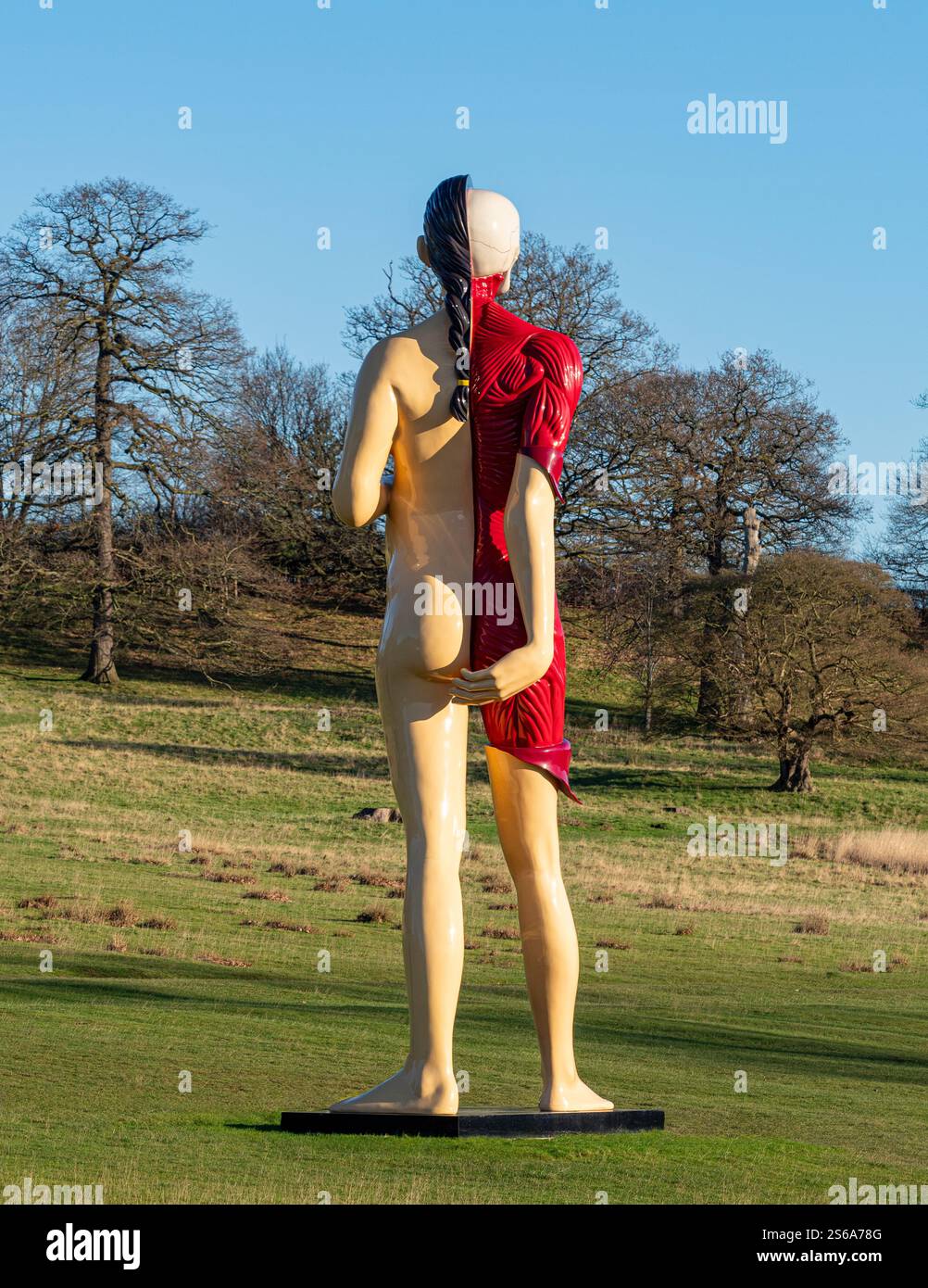 Damien Hirsts Jungfrau Mutter von hinten vor dem Hintergrund des Country Parks im Yorkshire Sculpture Park. UK Stockfoto