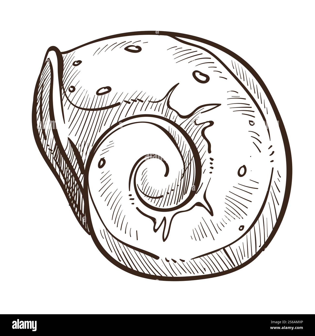 Muscheln oder Muscheln isolierte Skizze Unterwasser Kreatur Vektor gewellte Form Meer oder Ozean Boden Muscheln oder Mollusken monochrome Zeichnung Marine, oder nautische Symbol Schnecke bewohnt biologische Arten. Muscheln isoliert skizzieren Unterwasser-Geschöpf-Schale oder Muschel Stock Vektor