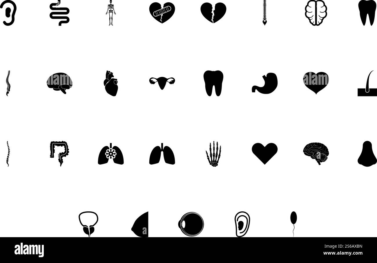 Organe des menschlichen Konzepts Umriss schwarze Farbe Set Solid Style Vektor Illustration. Organe des menschlichen Konzepts umreißen schwarzes, einfarbiges Bild Stock Vektor