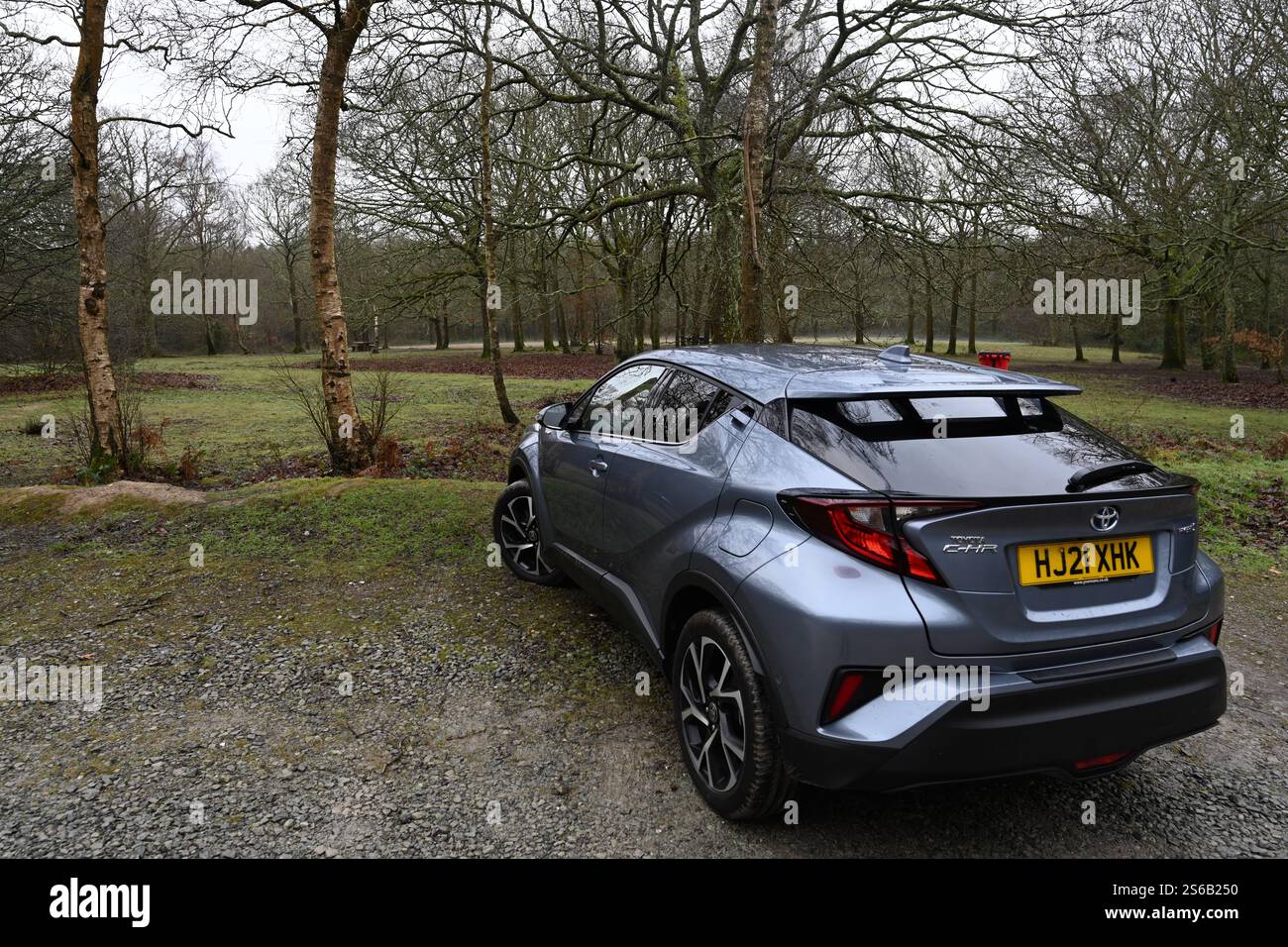 toyota CH-R vor Waldgrund Stockfoto