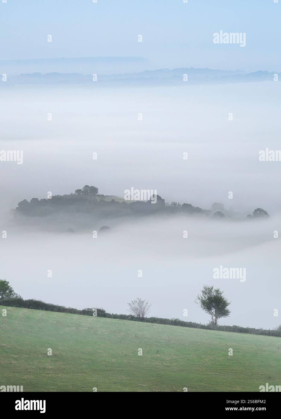 Starker Morgennebel auf den Somerset Levels, wie von den Mendip Hills aus gesehen, Somerset, Großbritannien, mit einigen Bäumen, die gerade erst durchbrechen Stockfoto