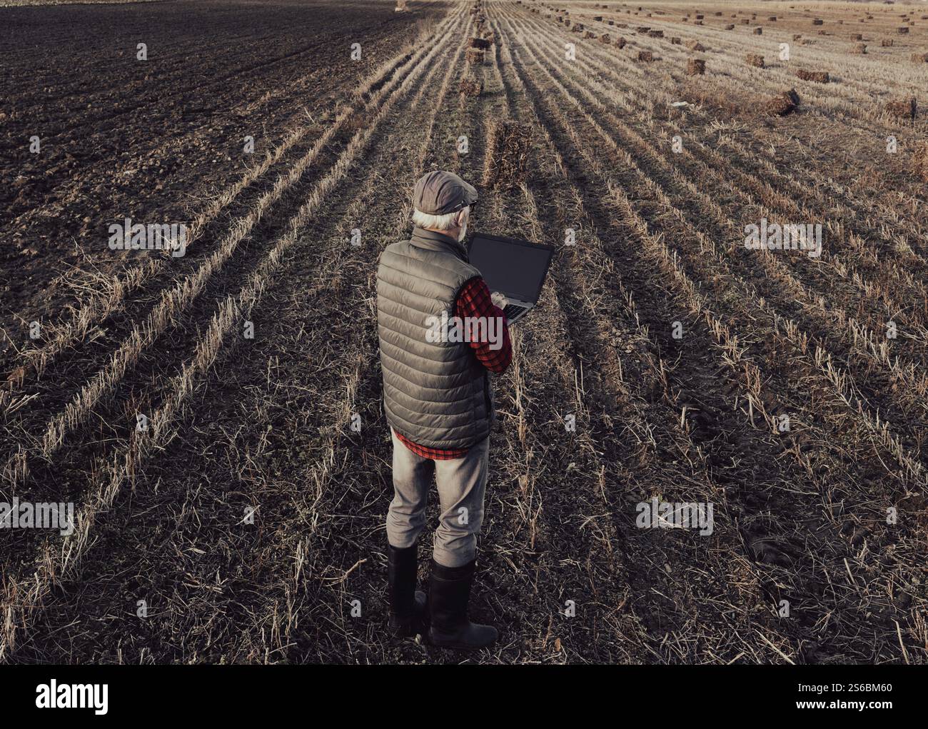Luftbild eines älteren Landwirts, der nach der Ernte und dem Pressen auf dem Feld steht und an einem Laptop arbeitet Stockfoto