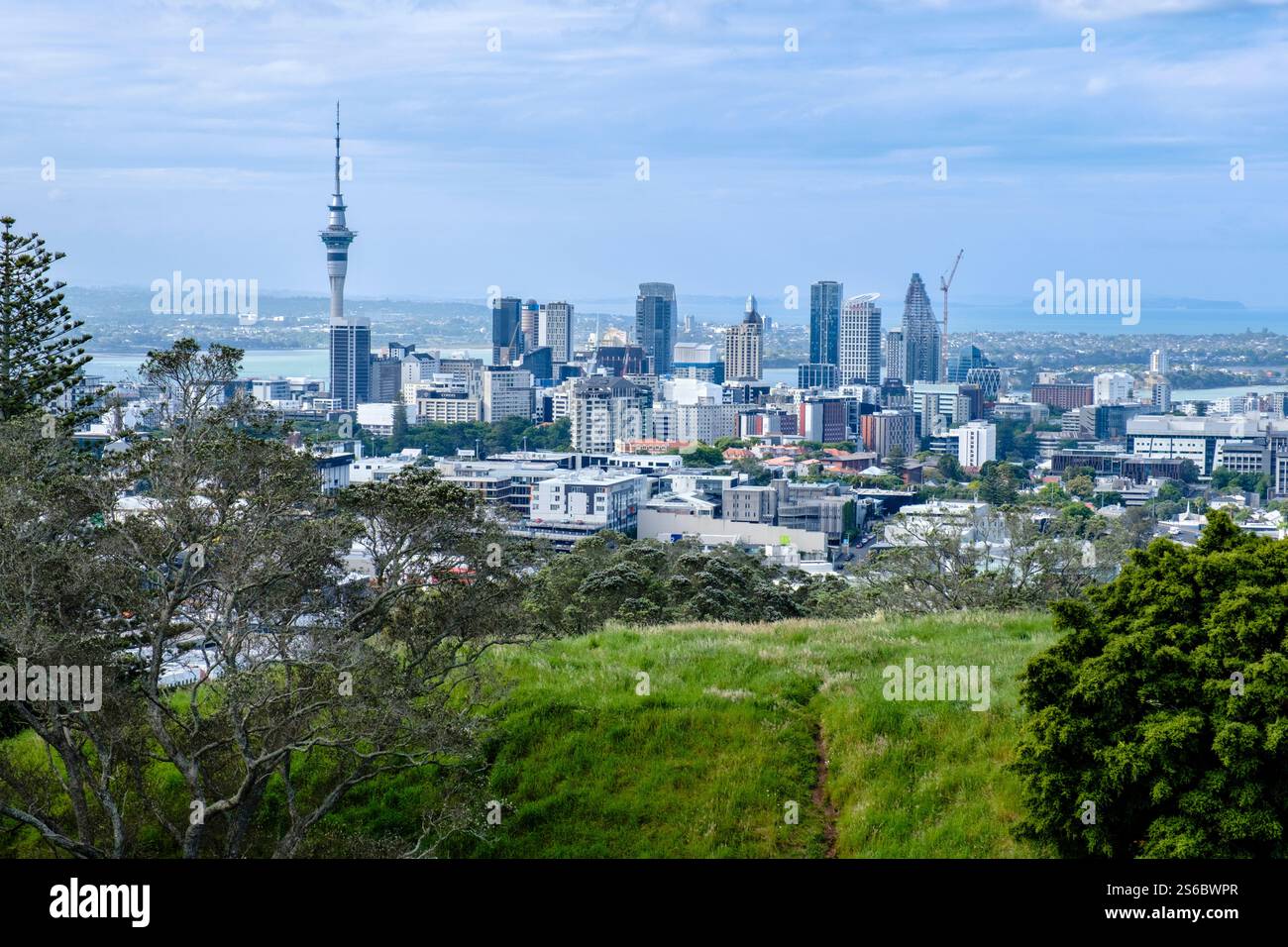 Blick auf die Skyline von Auckland vom Mount Eden, den berühmten Skytower und die Gebäude des zentralen Geschäftsviertels in der Innenstadt, Neuseeland. Stockfoto