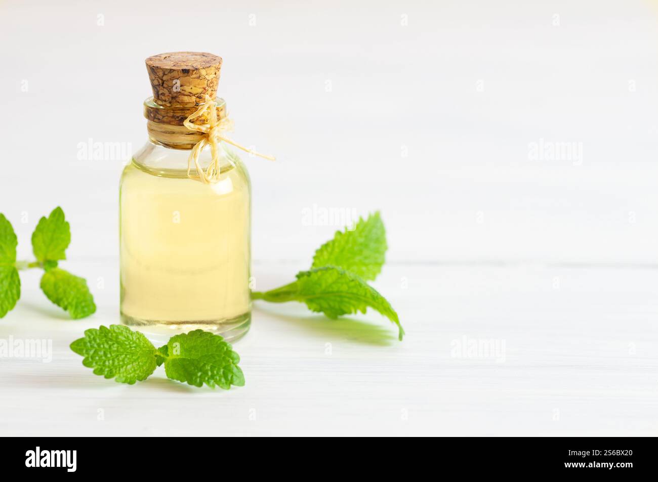 Glasflasche des ätherischen Öls melissa (Zitronenmelisse) mit frischen melissablättern, Kräutermedizin Konzept, Aromatherapie Stockfoto
