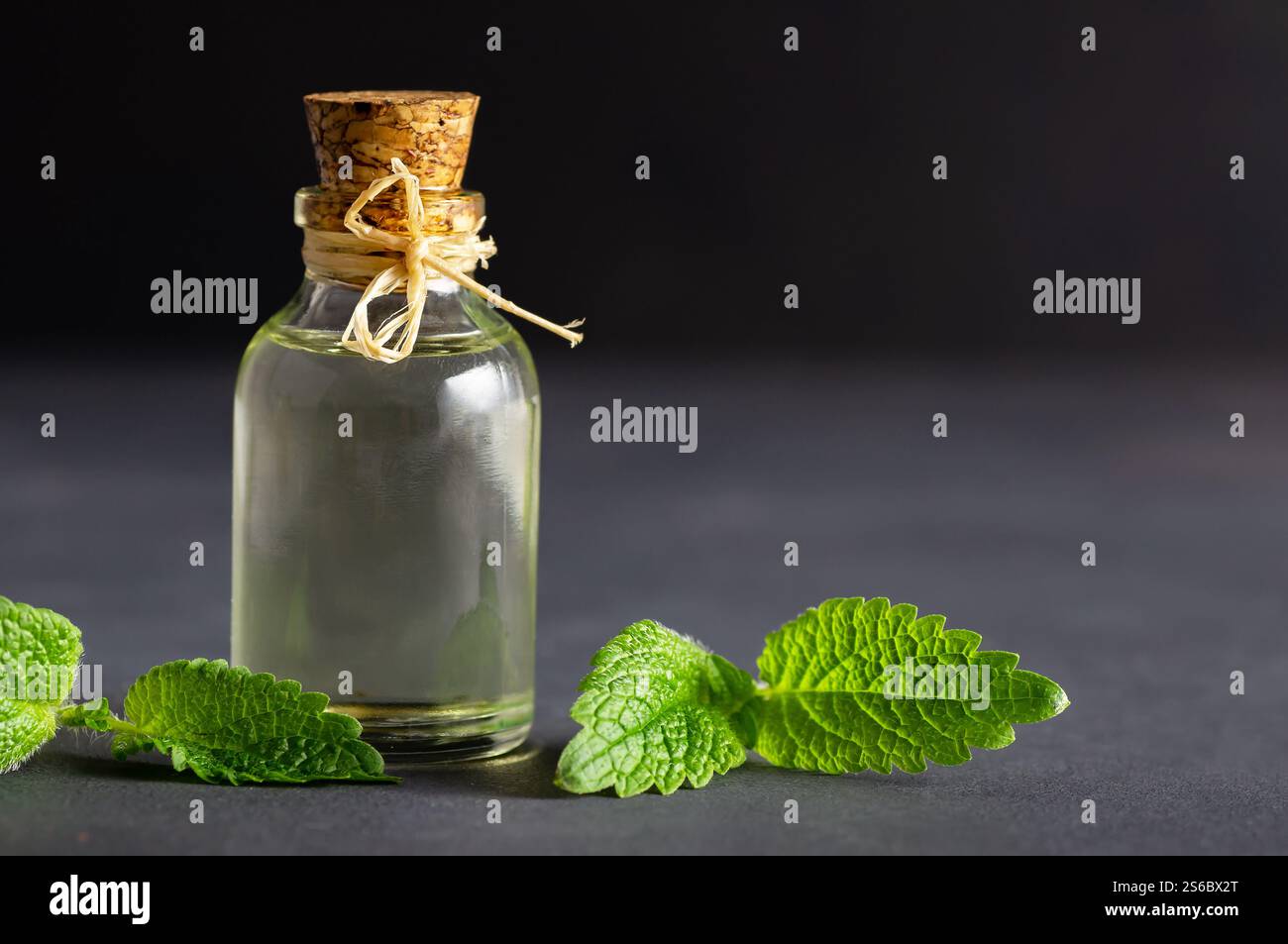 Glasflasche des ätherischen Öls melissa (Zitronenmelisse) mit frischen melissablättern, Kräutermedizin Konzept, Aromatherapie Stockfoto