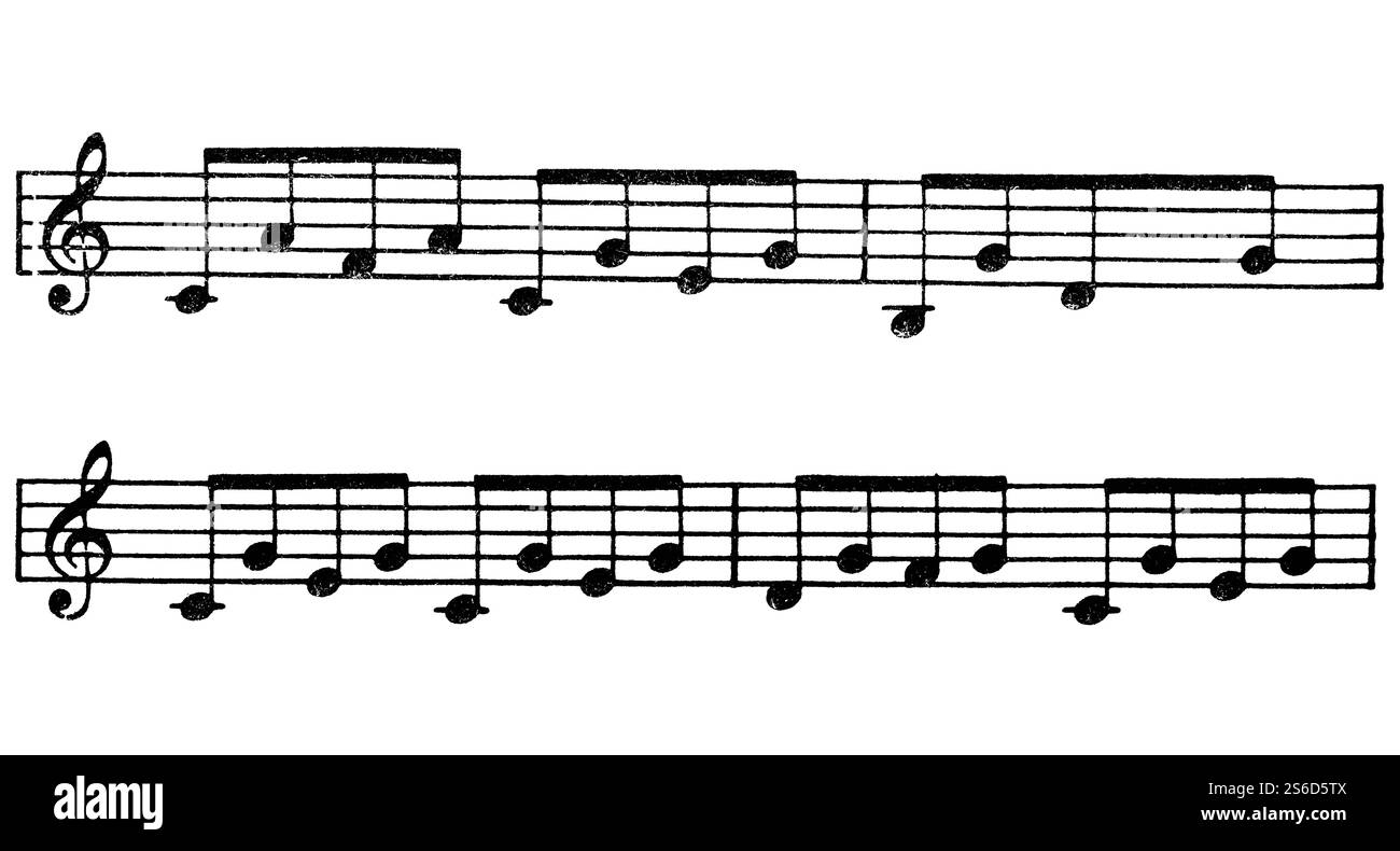 Zwei Reihen Notennotizen, isolierter Ausschnitt auf weißem Hintergrund Stockfoto