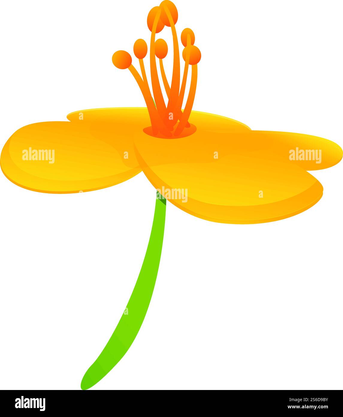 Dekorative Blume aus Celandine. Zeichentrickfilm der dekorativen Blume Vektor-Icon für Web-Design isoliert auf weißem Hintergrund. Dekorative Blume aus Celandine im Cartoon-Stil Stock Vektor