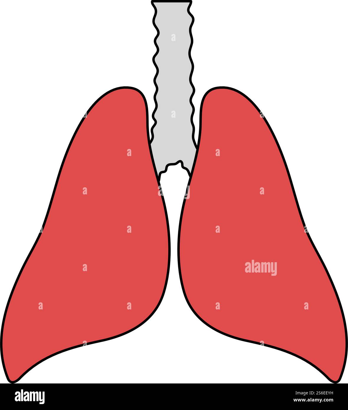 Symbol Für Menschliche Lungen. Bearbeitbare Kontur Mit Farbfülldesign. Vektorgrafik. Stock Vektor