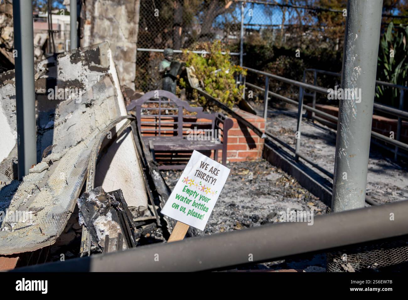 Los Angeles, Usa. Januar 2025. Ein Schild mit der Aufschrift „We are Dursty“ ist im Burnout-Garten der Marquez School nach dem Brand von Palisades am 1. Bis 5. Januar 2025 in Los Angeles, Kalifornien, angebracht. Die Brände haben große Teile von Los Angeles verbrannt, während die Zahl der Zerstörungen steigt und ganze Viertel zu Asche reduziert werden. (Foto: Michael Nigro/Pacific Press) Credit: Pacific Press Media Production Corp./Alamy Live News Stockfoto