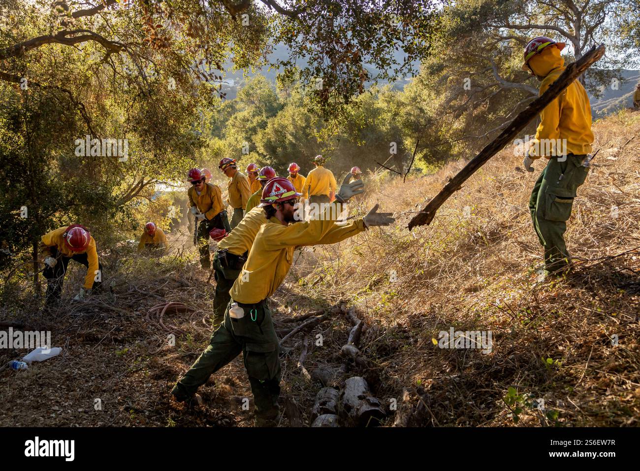 Los Angeles, Usa. Januar 2025. Ein Team von Feuerwehrleuten aus Idaho Clear Brush im Topanga Valley am 15. Januar 2025 in Los Angeles, Kalifornien. Mehrere Waldbrände, die von den intensiven Santa Ana Winds angeheizt werden, brennen im Los Angeles County, wobei die Feuerwehrmannschaften einige Eindämmung erreichen. (Foto: Michael Nigro/Pacific Press) Credit: Pacific Press Media Production Corp./Alamy Live News Stockfoto