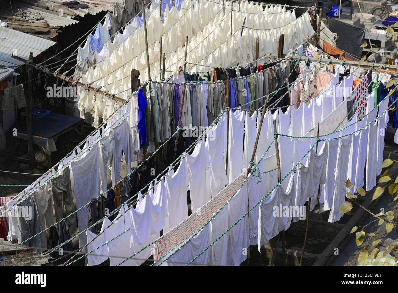 Mahalakshimi Dohbi Ghat, zentraler Waschplatz, Mumbai, Indien, Asien, weiße Kleidung hängt eng zusammen an einer Wäscheleine in einem Wohnviertel Stockfoto