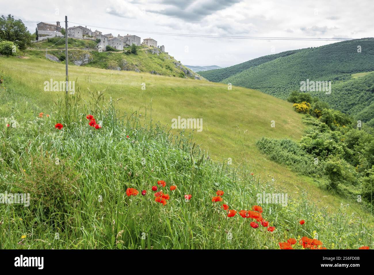 Ein Bild von Elcito in Italien Marken Stockfoto