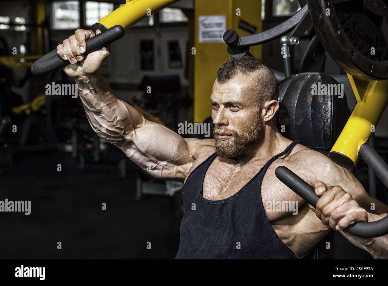 Ein Bild von einem stattlichen Bärtigen bodybuilding Mann, Brust Training Stockfoto