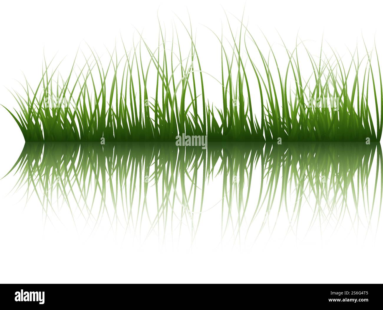 Gras-Silhouetten Farbiger Hintergrund Mit Transparenter Reflexion Im Wasser. Elegantes, Süßes Und Glattes Gras Im Wasserdesign. Vektorabbildung Mit Transparenz. Stock Vektor