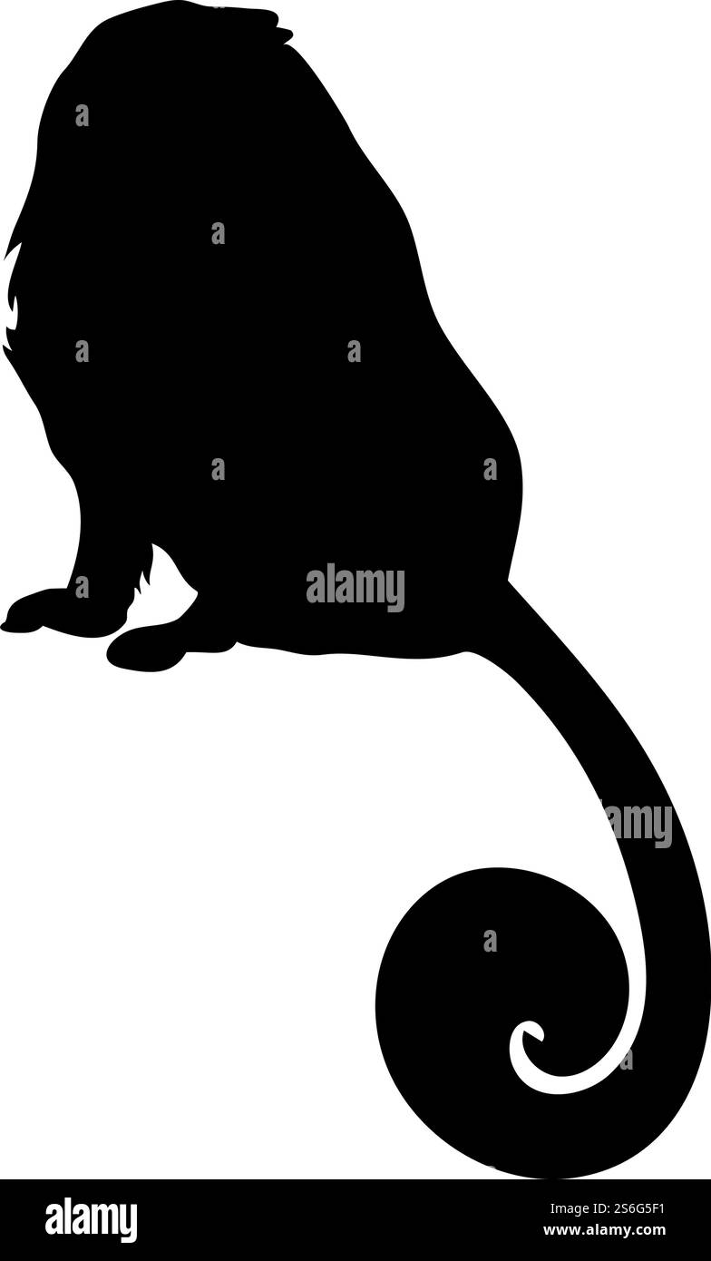 Lion Tamarin Ape Silhouette. Glatte und saubere Leitungen. Detailreiche Silhouette des Löwen Tamarin-Affen. Vektorabbildung... Affen Silhouetten Set Stock Vektor