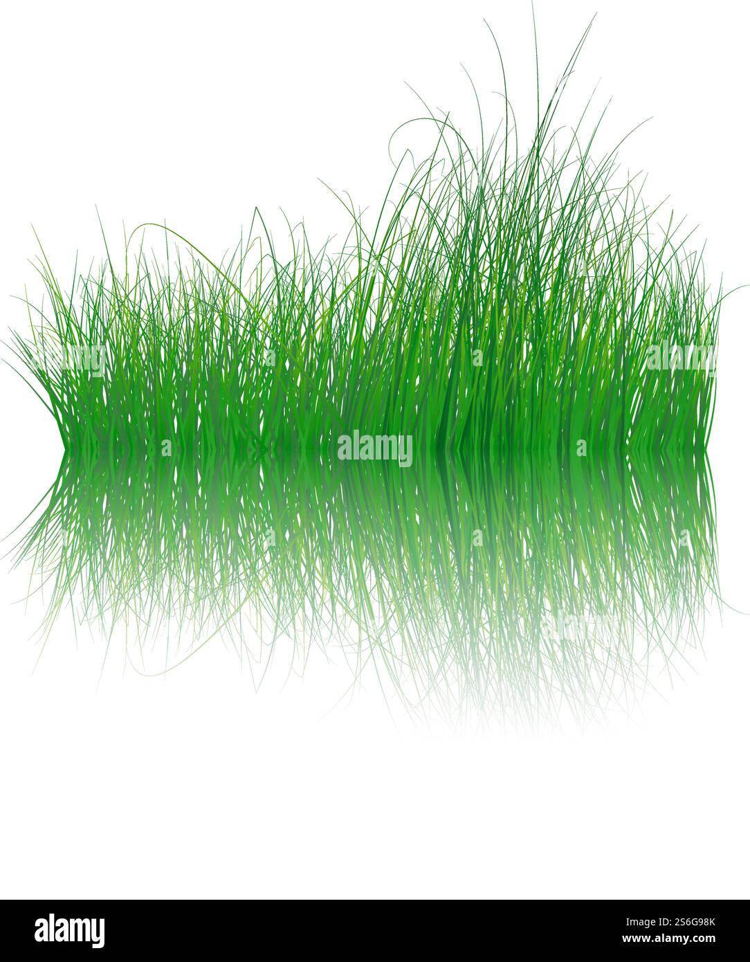 Gras-Silhouetten Farbiger Hintergrund Mit Transparenter Reflexion Im Wasser. Elegantes, Süßes Und Glattes Gras Im Wasserdesign. Vektorabbildung Mit Transparenz. Stock Vektor