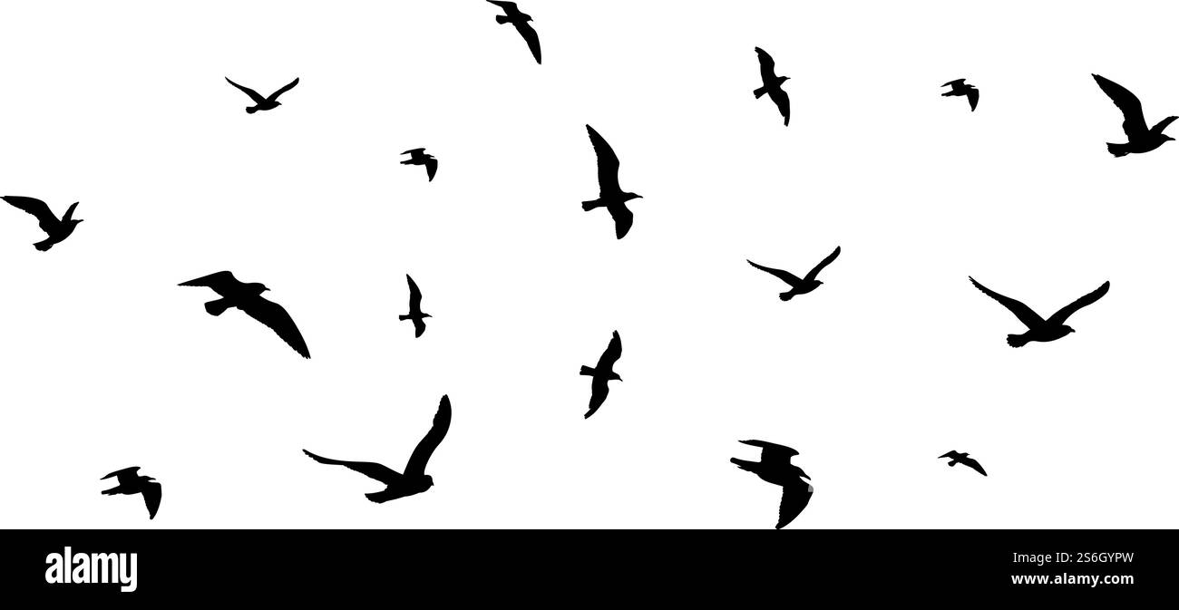Fliegende Vogelherde. Flugvogel-Silhouetten, isolierte schwarze Tauben oder Möwen-Kollektion. Illustration des Freiheitsmetaphorvektors. Schwarze Silhouette Illustration für Flock Vogel. Fliegende Vogelherde. Flugvogel-Silhouetten, isolierte schwarze Tauben oder Möwen-Kollektion. Illustration des Freiheitsmetaphorvektors Stock Vektor