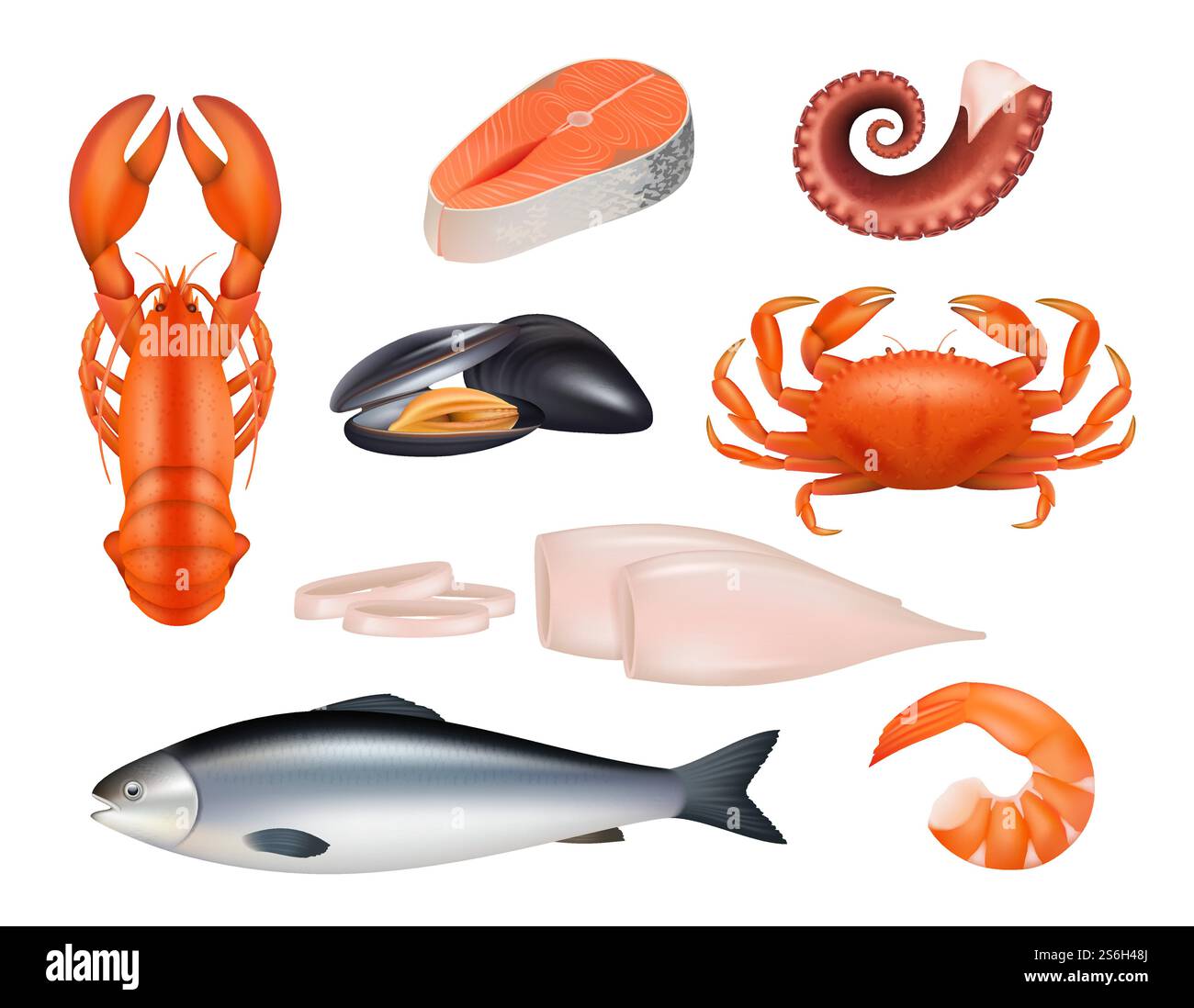 Fisch Und Meeresfrüchte. Thunfischmehl Fische Garnelen Weichtiere Krabbenvektor realistische natürliche Produkte. Fisch und Krabben, Meeresfrüchte Thunfisch, frische Tintenfische und Muscheln Illustration. Fisch Und Meeresfrüchte. Thunfischmehl Fische Garnelen Weichtiere Krabbenvektor realistische natürliche Produkte Stock Vektor