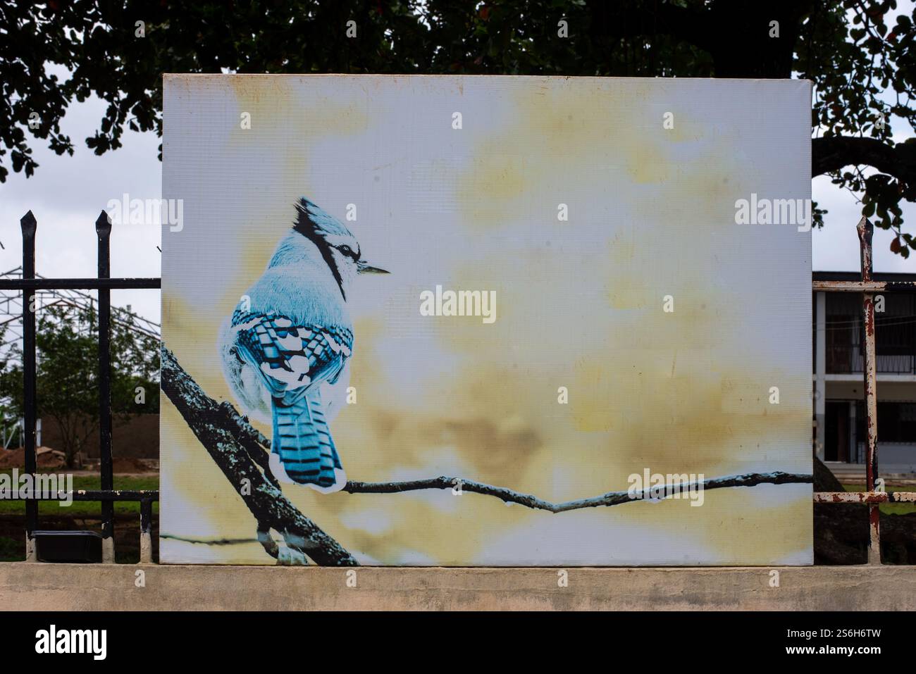 Ein leeres Brett auf der Straße Stockfoto