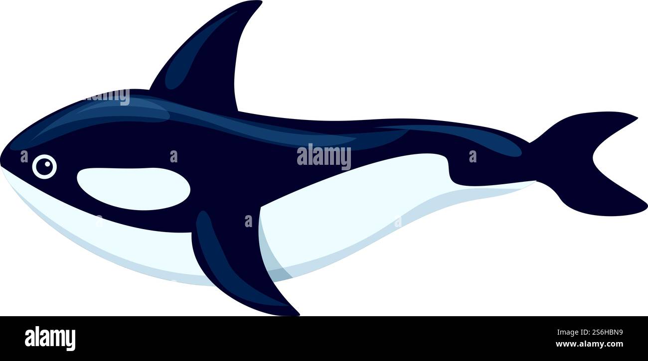Killerwal arktische Ikone. Cartoon des Killerwals arktisches Vektorsymbol für Webdesign isoliert auf weißem Hintergrund. Killerwal arktische Ikone, Cartoon-Stil Stock Vektor