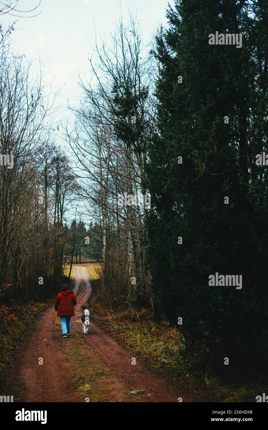 Frau in einer roten Jacke, die einen Hund auf einem bewaldeten Feldweg in W geht Stockfoto