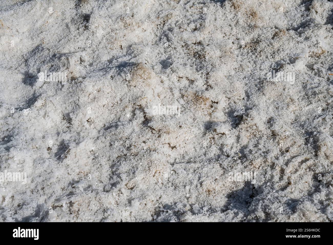 Salzebenen - die Salzablagerungen werden durch Wasserverdunstung und den rückläufigen Wasserstand des Toten Meeres verursacht Stockfoto