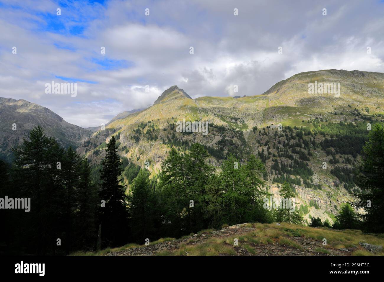 Blick auf die östlichen Graischen Alpen über dem Aostatal, Gran Paradiso Nationalpark, Italien Stockfoto