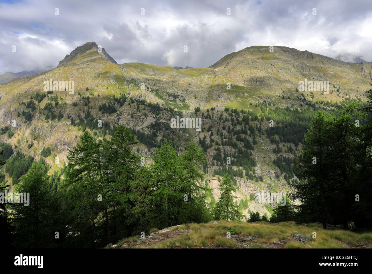 Blick auf die östlichen Graischen Alpen über dem Aostatal, Gran Paradiso Nationalpark, Italien Stockfoto
