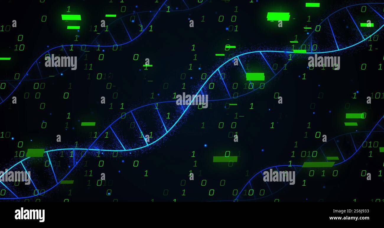 Abbildung von dna-Strängen und digitaler Datenverarbeitung mit Binärcodierung Stockfoto