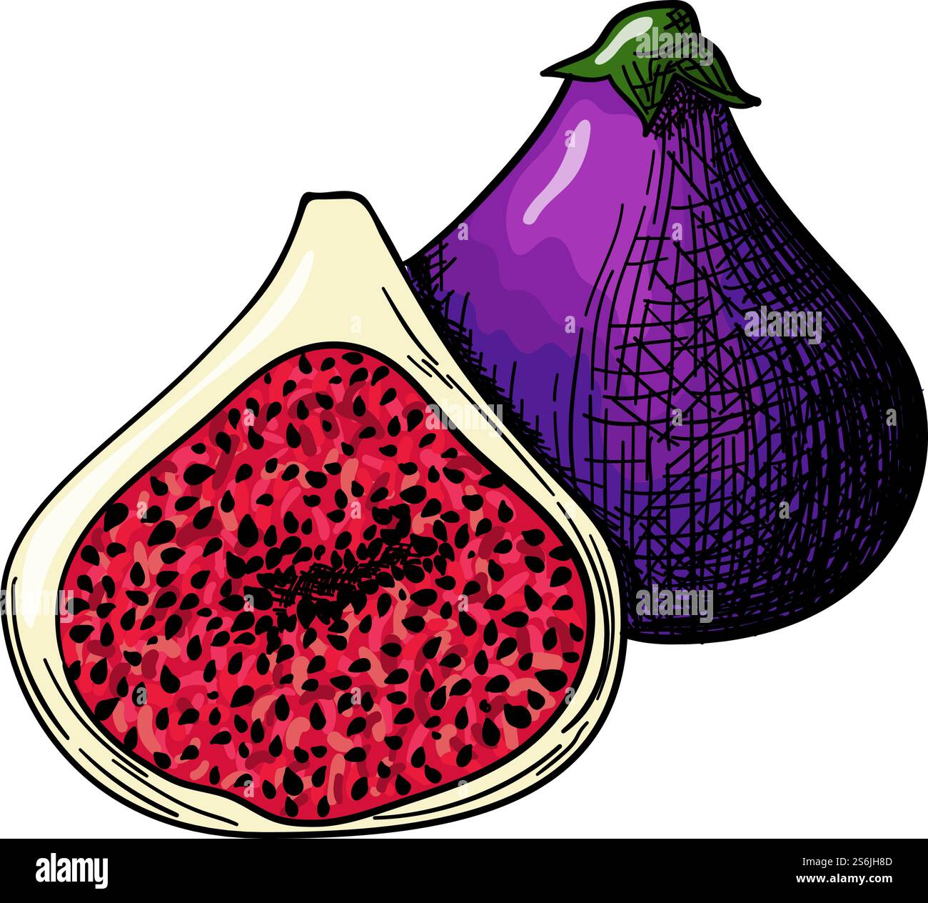 Symbol Der Feigenfrucht. Handgezeichnetes Skizzendesign. Vektorgrafik. Stock Vektor