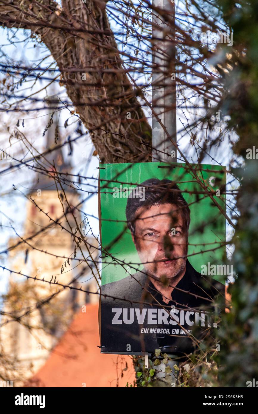 Tübingen, Deutschland 01 16 2025: Wahlkampfplakat der Grünen mit Spitzenkandidat Robert Habeck hinter Dornbüschen Stockfoto