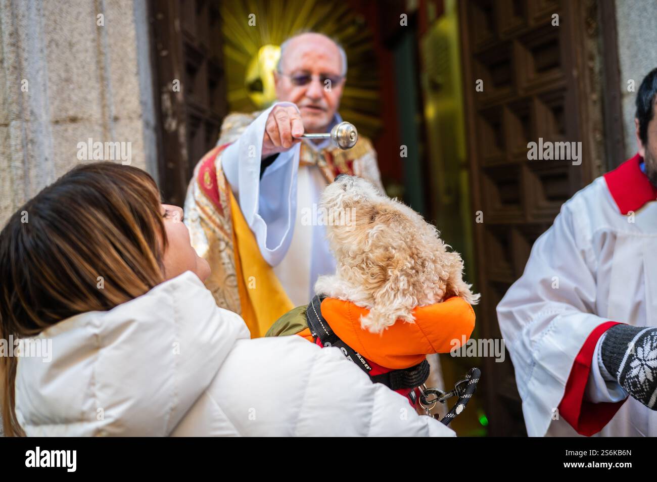 Madrid, Spanien. Januar 2025. Ein Priester segnet einen Hund während des Tages von San Anton, Schutzpatron der Haustiere. Jedes Jahr am Tag von San Anton stehen die Menschen mit ihren Haustieren an, um in der San Anton Kirche von Madrid gesegnet zu werden. Quelle: Marcos del Mazo/Alamy Live News Stockfoto